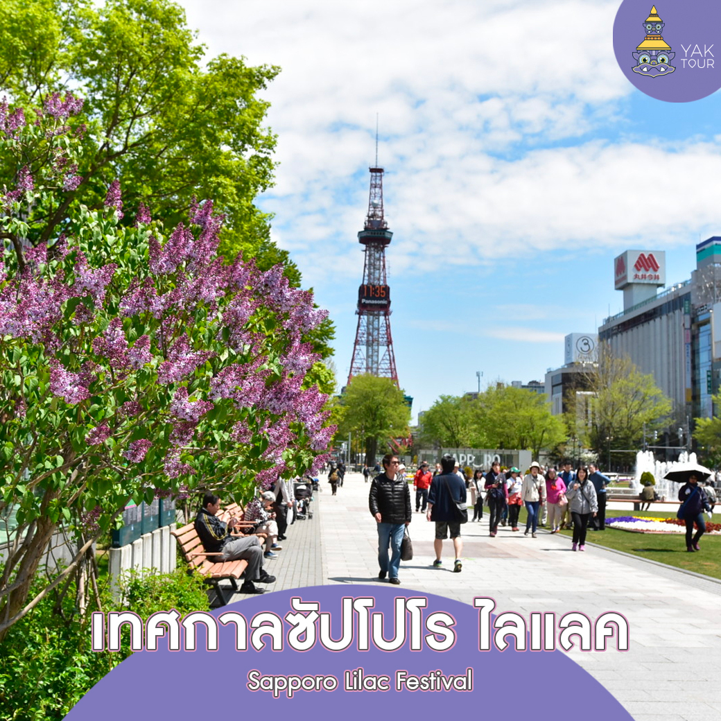 sapporo-lilac-festival-japan-tour