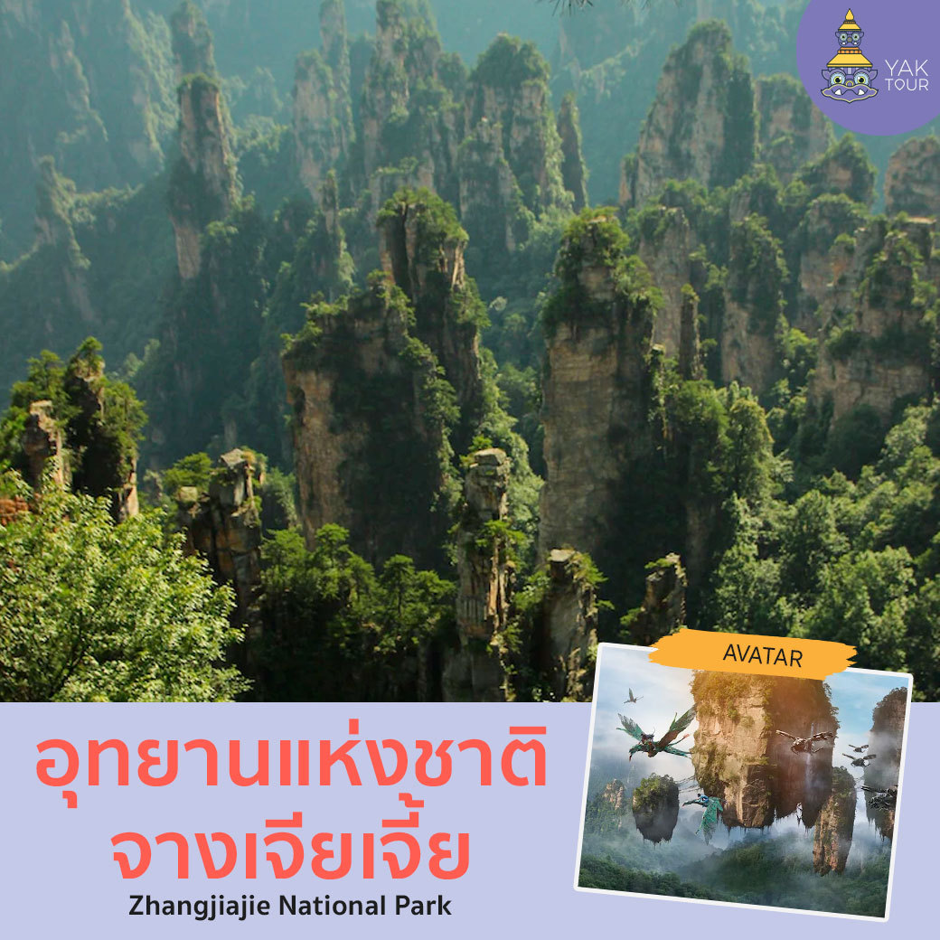จางเจียเจี้ย แรงบันดาลใจ Avatar