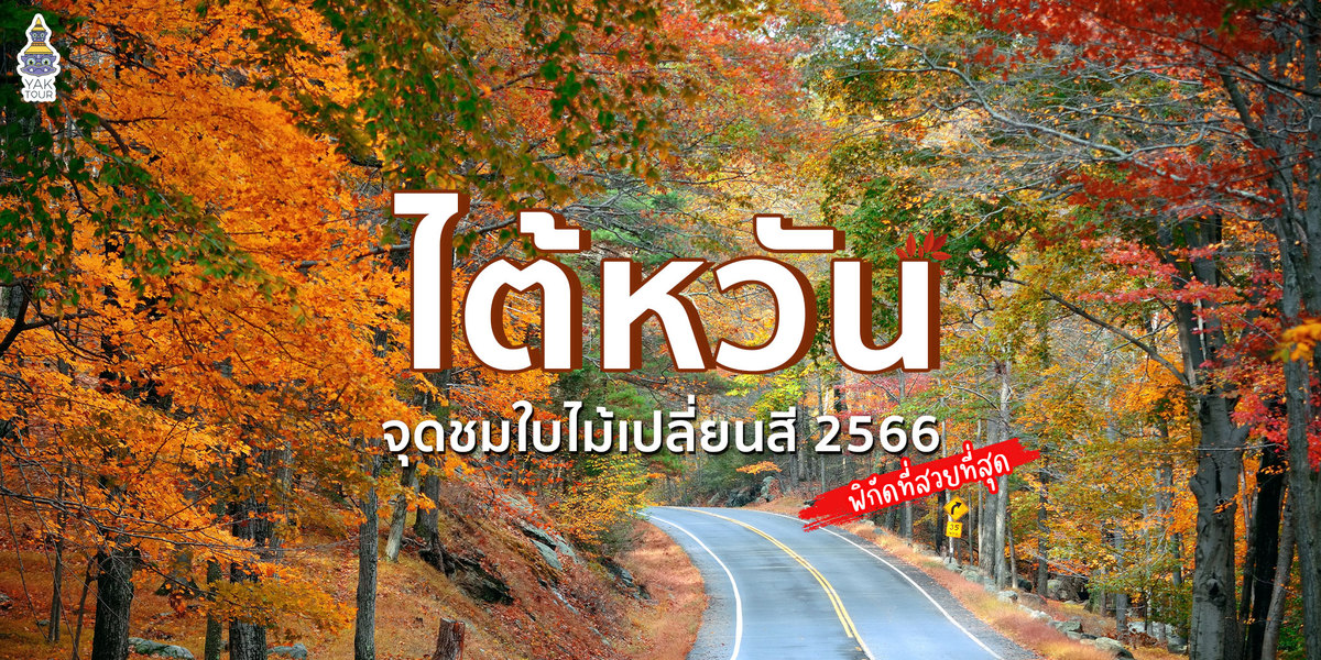 ใบไม้เปลี่ยนสี ไต้หวัน เช็กอิน 7 พิกัดที่สวยที่สุด พร้อมบอกวิธีเดินทาง