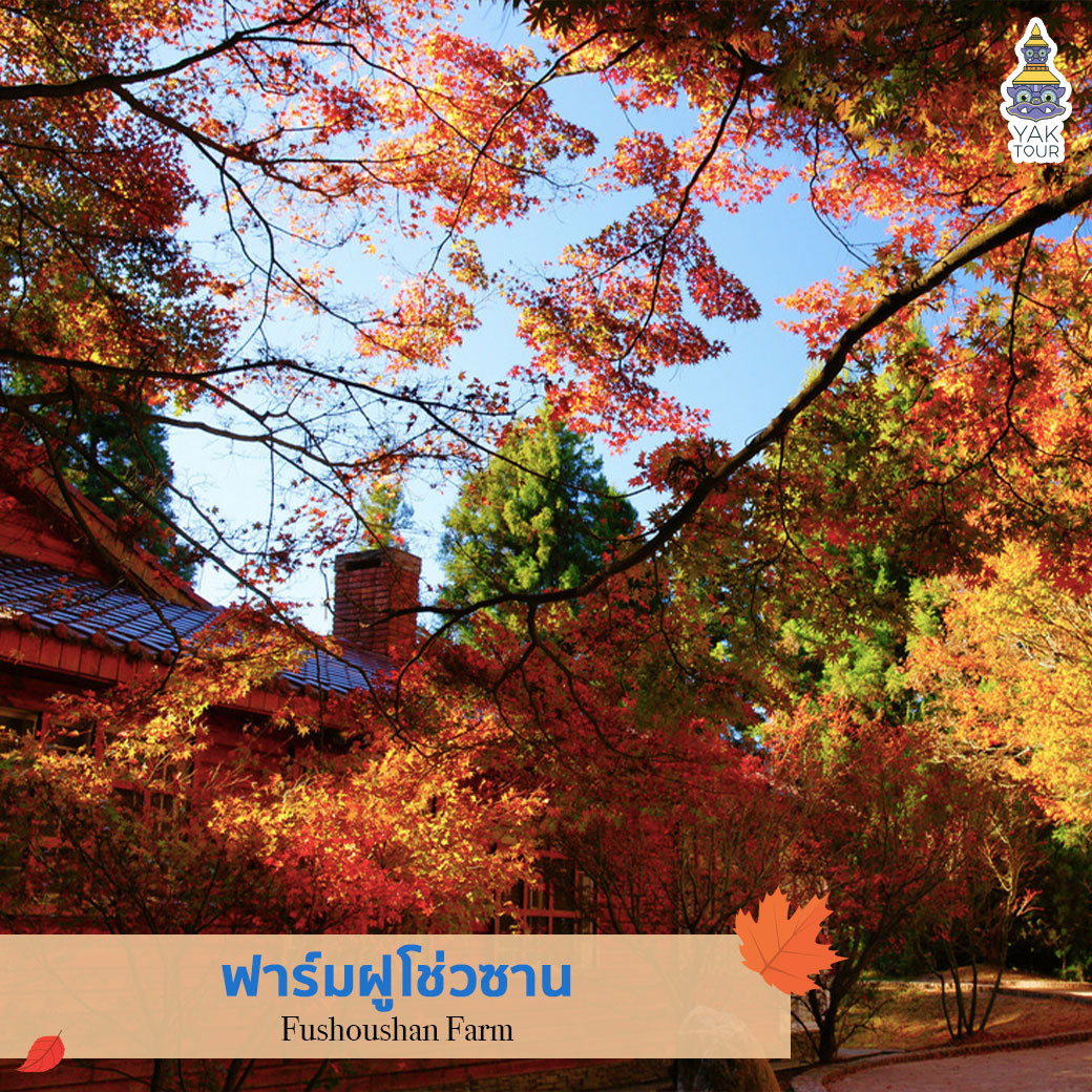 ทัวร์ไต้หวัน ฟาร์มฝูโช่วซาน