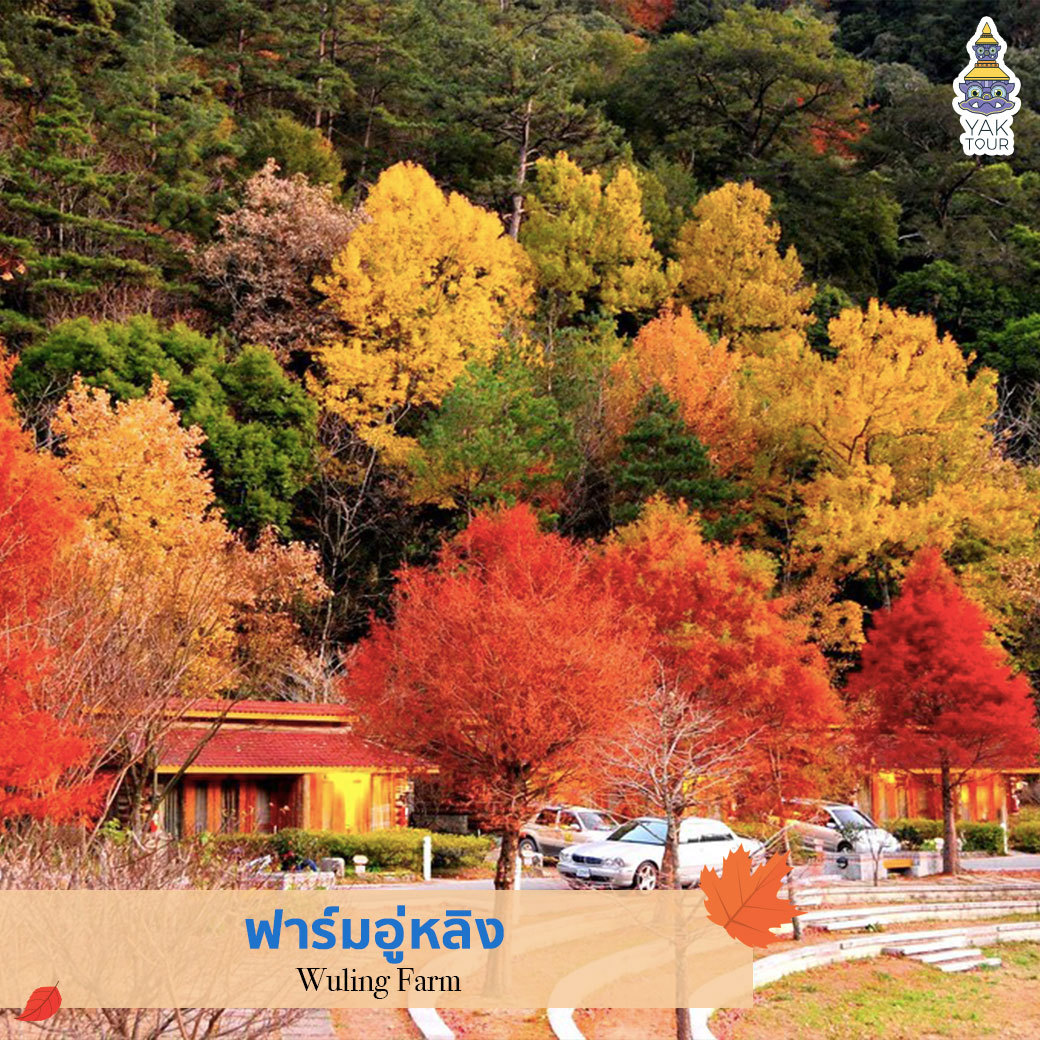 ทัวร์ไต้หวัน ฟาร์มอู่หลิง