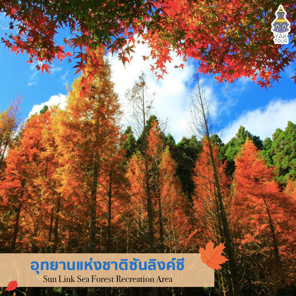 อุทยานแห่งชาติซันลิงค์ซี