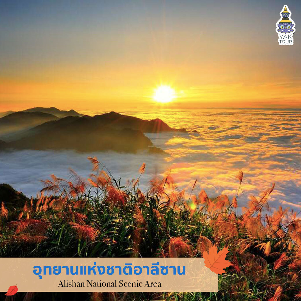 อุทยานแห่งชาติอาลีซาน