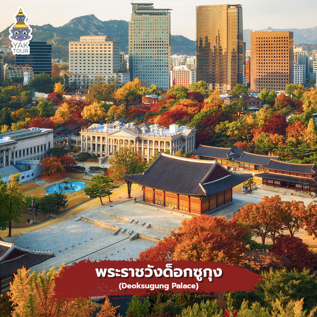 ทัวร์เกาหลี ชมใบไม้เปลี่ยนสีที่ฟพระราชวังด็อกซูกุง