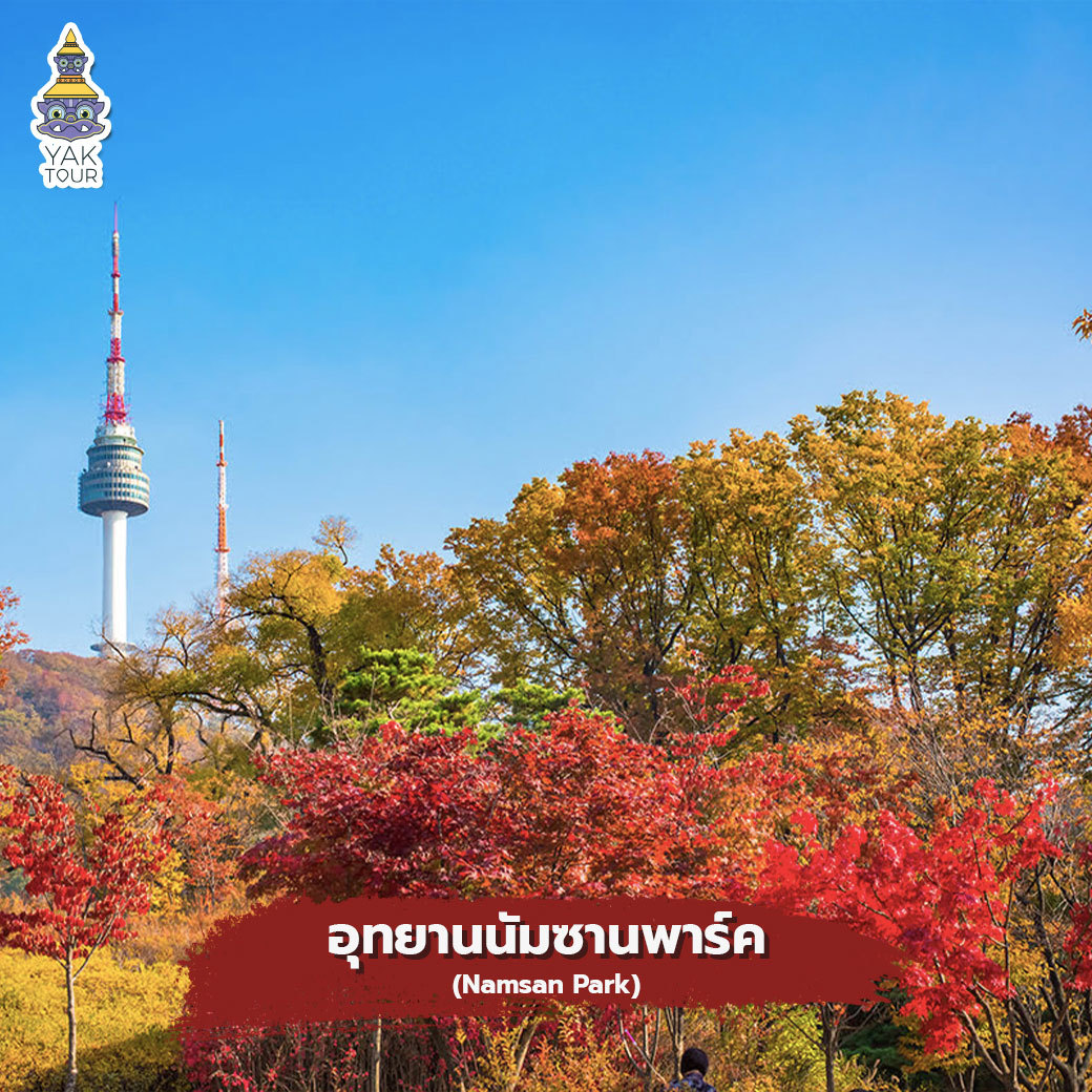 อุทยานนัมซานพาร์ค ทัวร์เกาหลี ไปชมใบไม้เปลี่ยนสี