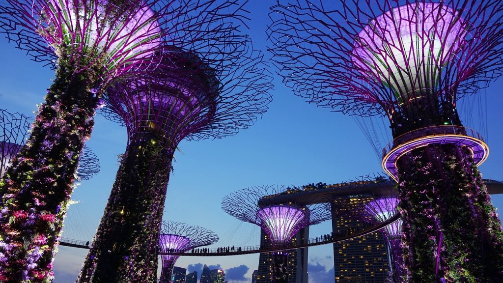 garden-by-the-bay-เที่ยวสิงคโปร์ช่วงปีใหม่