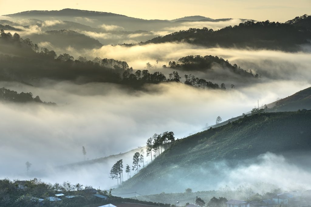 vietnam-เที่ยวช่วงปีใหม่