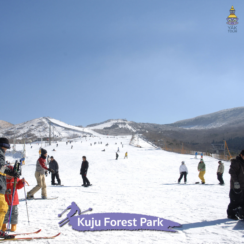 09Kuju-Forest-Park เที่ยวญี่ปุ่น เที่ยวสกีรีสอร์ต