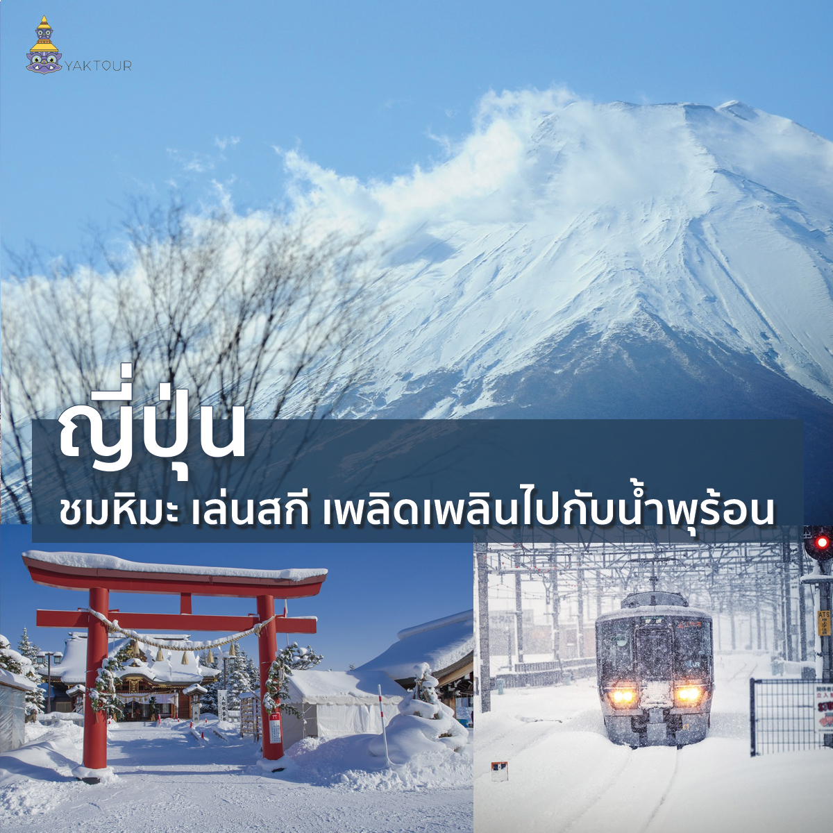 สิ้นปีเที่ยวญี่ปุ่น