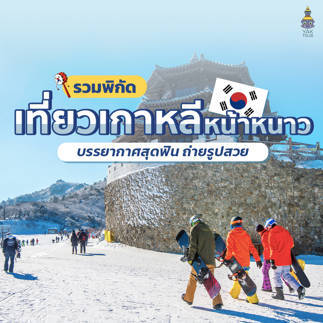 รวมพิกัด เที่ยวเกาหลีหน้าหนาว บรรยากาศสุดฟิน ถ่ายรูปสวย