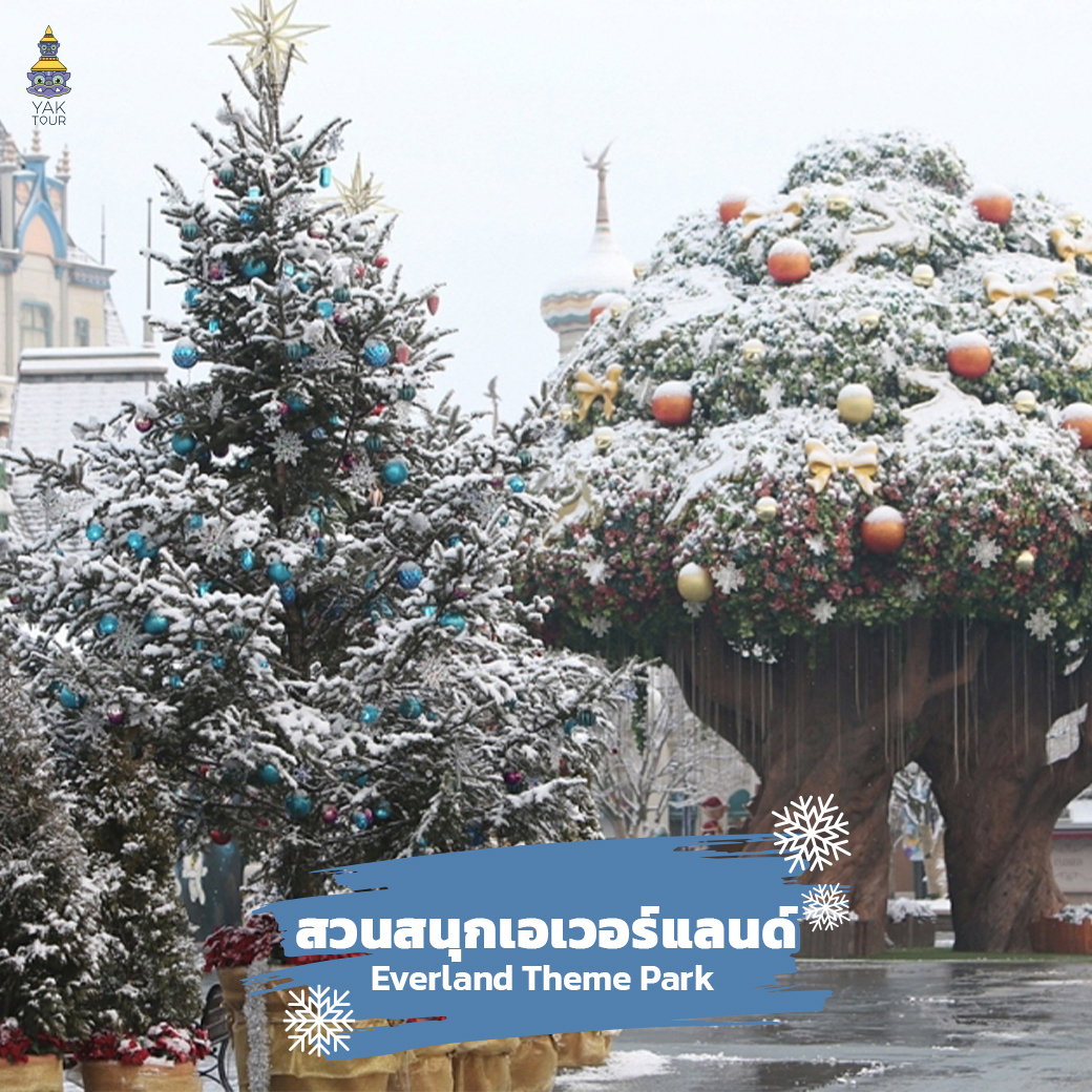 เที่ยวกาหลี สวนสนุกเอเวอร์แลนด์