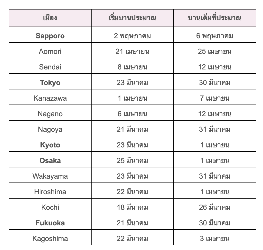 พยากรณ์ชมซากุระ ญี่ปุ่น 2024