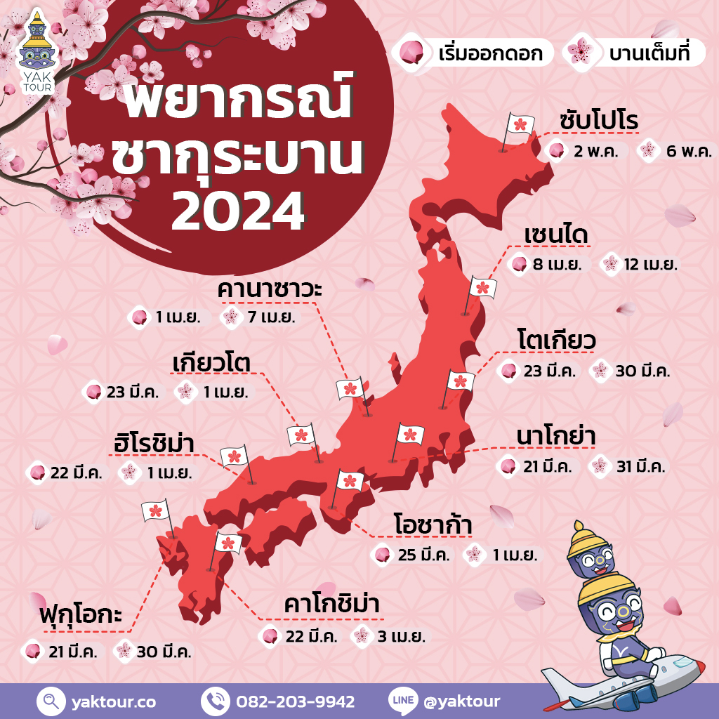 พยากรณ์ซากุระญี่ปุ่น 2024 อัปเดตล่าสุด เช็กให้ชัวร์ก่อนออกเดินทาง