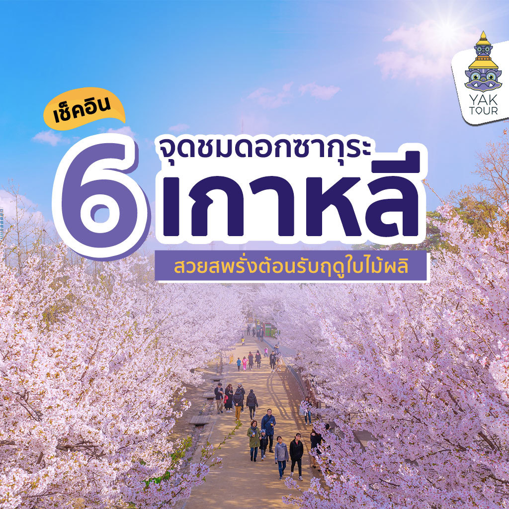 6 พิกัดชม ซากุระเกาหลี สวยสะพรั่งต้อนรับฤดูใบไม้ผลิ