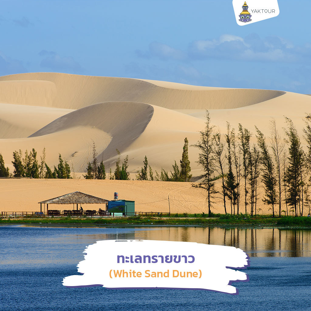 เที่ยวมุยเน่ ทะเลทรายขาว (White Sand Dune)