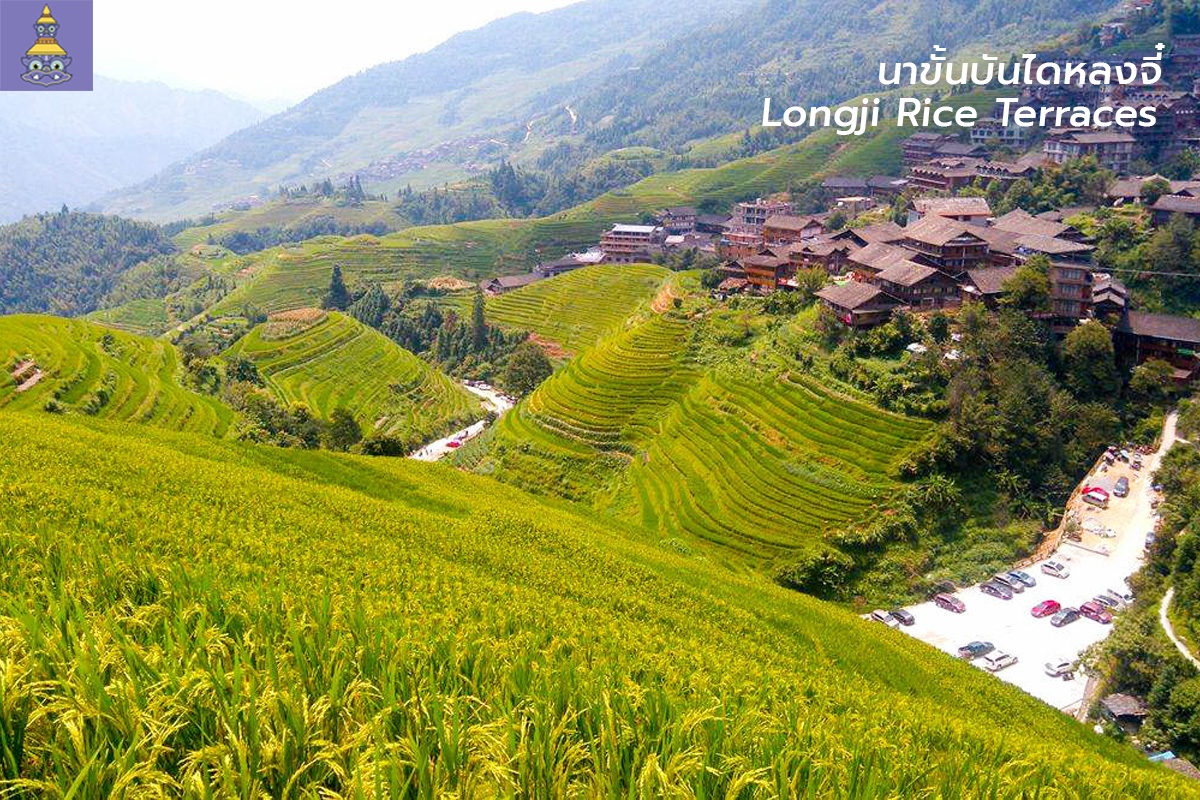 ทัวร์จีน-นาขั้นบันไดหลงจี๋-ยักษ์ทัวร์